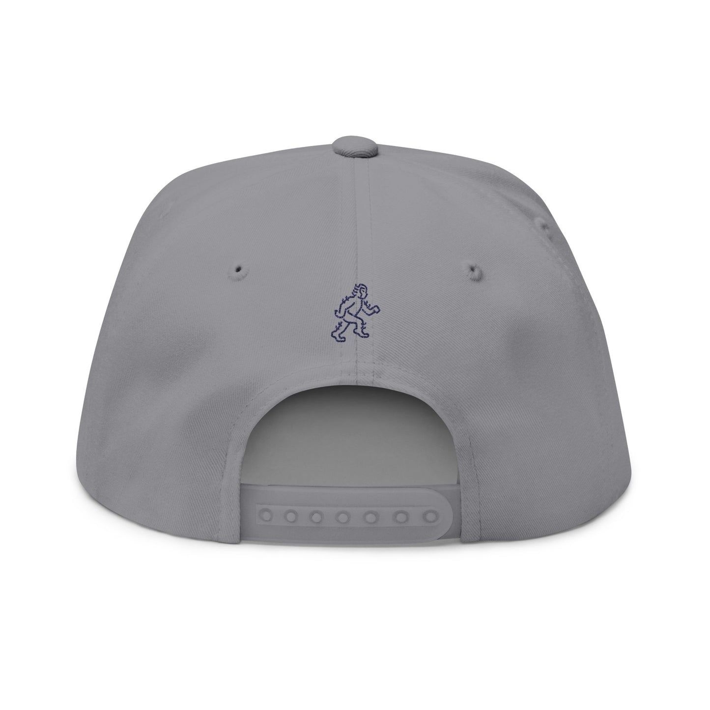 Stand Tall -TBC - Embroidered Flat Bill Cap