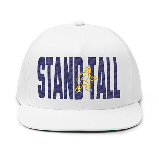 Stand Tall -TBC - Embroidered Flat Bill Cap