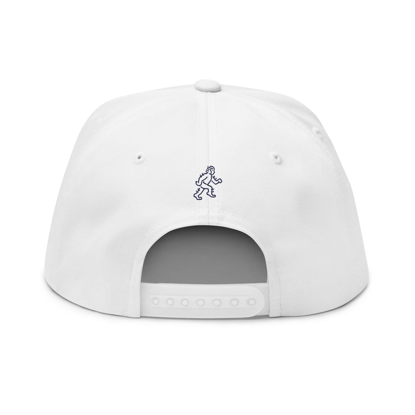 Stand Tall -TBC - Embroidered Flat Bill Cap