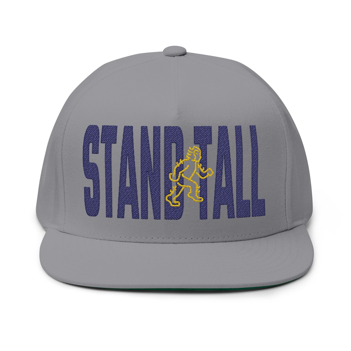 Stand Tall -TBC - Embroidered Flat Bill Cap